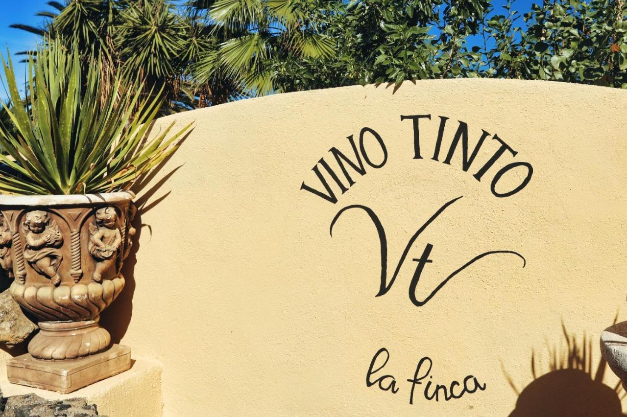 Finca Vino Tinto 1 Icod De Los Vinos Eksteriør bilde